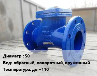 Клапан стальной 50 обратный, поворотный, пружинный до +110